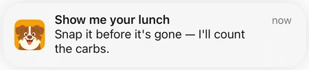 iOS notification from Carbo-AI. Show me your lunch. Snap it before it's gone — I'll count the carbs.